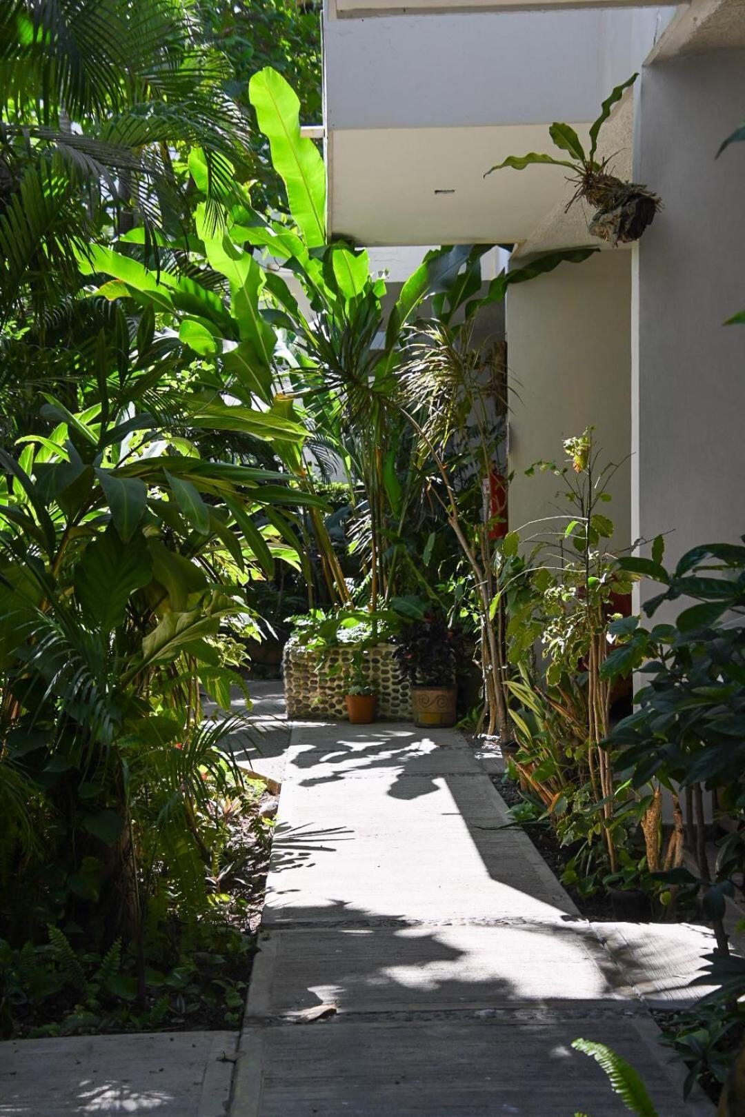 Hotel Palmeras Bucerías Exteriér fotografie